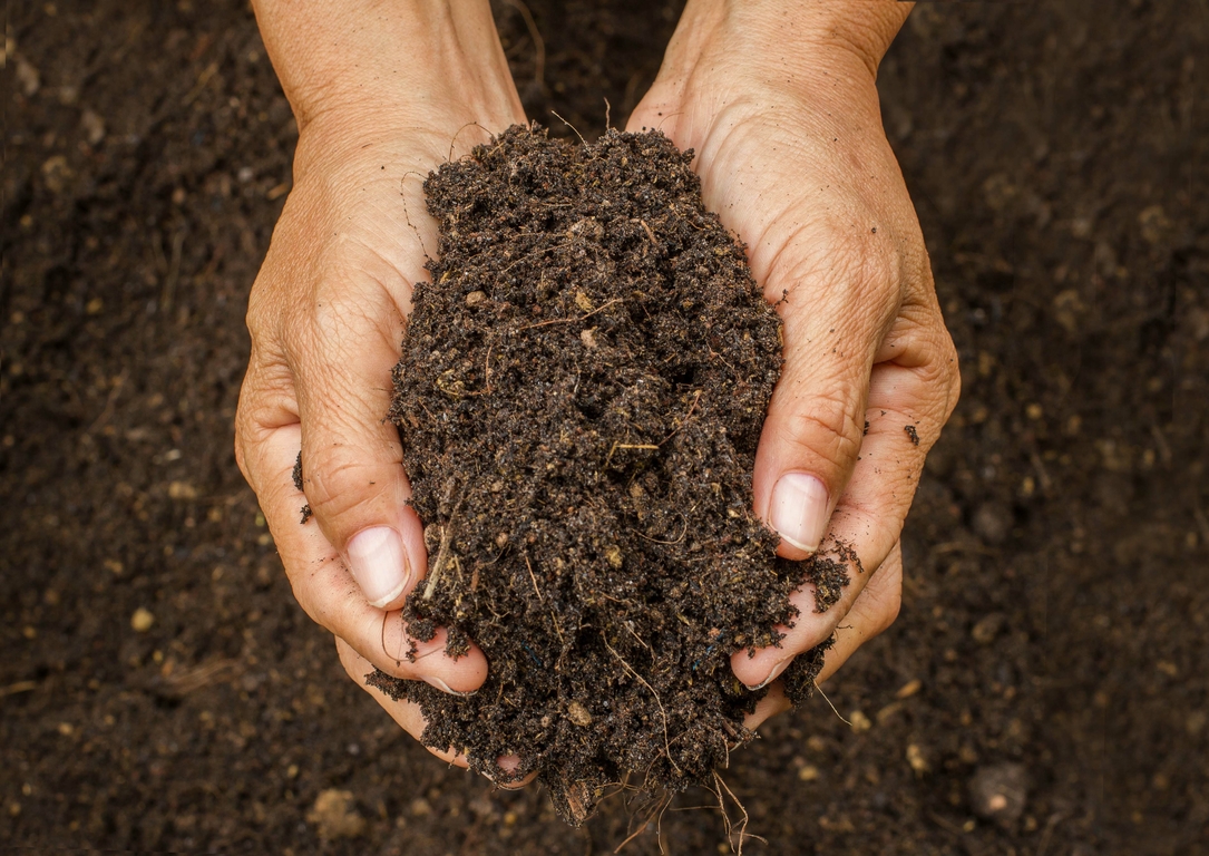 Working with nature to improve your soil - and help your plants! - Pugh ...