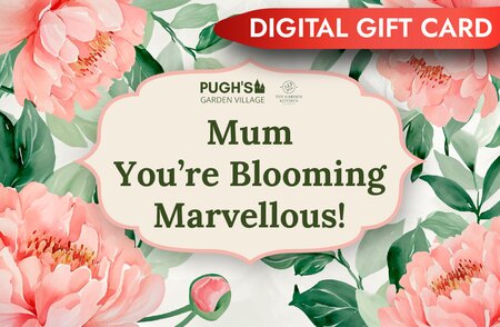 Pugh's Mother's Day Digital Gift Card